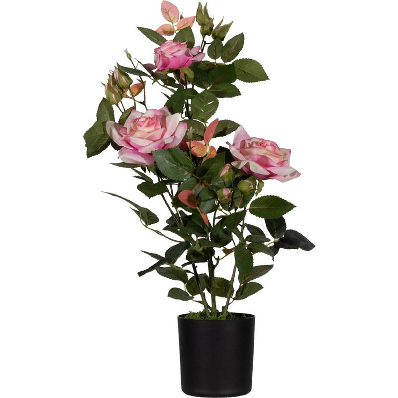 PAPERFLOW Kunstpflanze "Rosenstock", rosa, Höhe: 540 mm