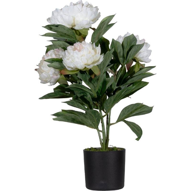 PAPERFLOW Kunstpflanze "Pfingstrose", weiß, Höhe: 550 mm