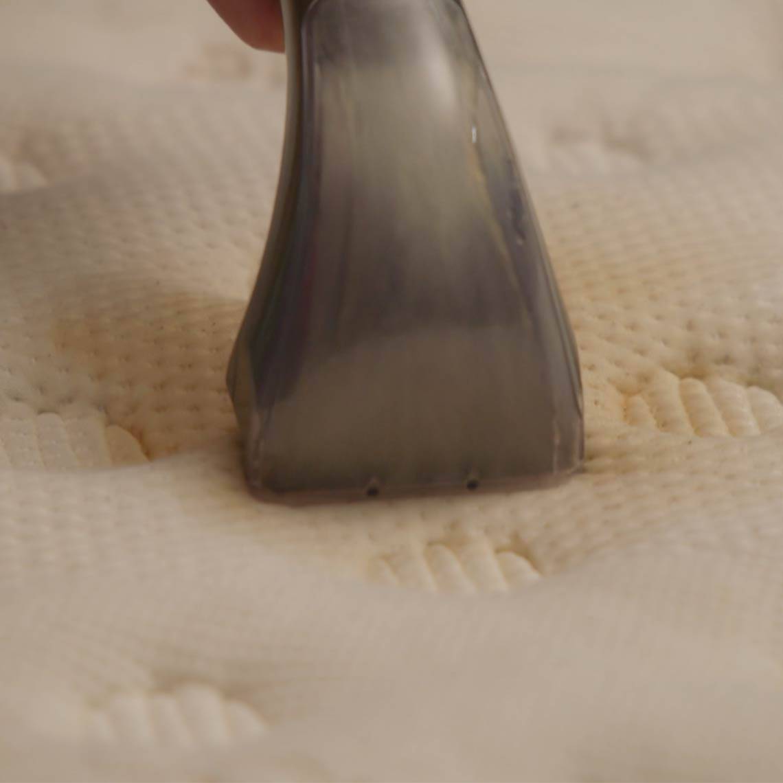 Livington StainEx Portables - Nass-Reinigungssystem - Polsterreiniger - Teppichreiniger mit Dualkammer - Nassauger - Waschsauger