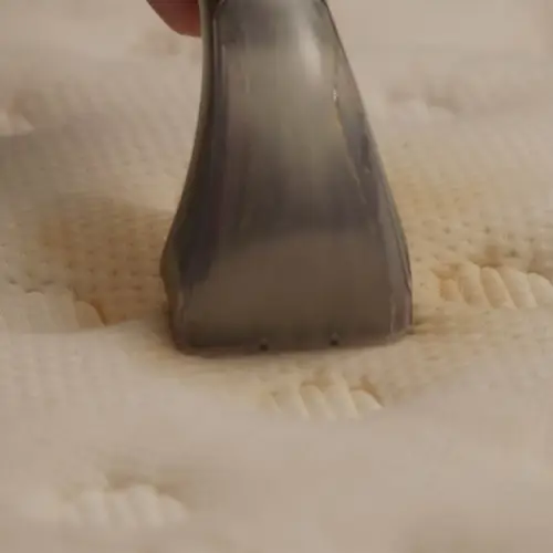 Livington StainEx Portables - Nass-Reinigungssystem - Polsterreiniger - Teppichreiniger mit Dualkammer - Nassauger - Waschsauger Livington StainEx Portables - Nass-Reinigungssystem - Polsterreiniger - Teppichreiniger mit Dualkammer - Nassauger - Waschsauger