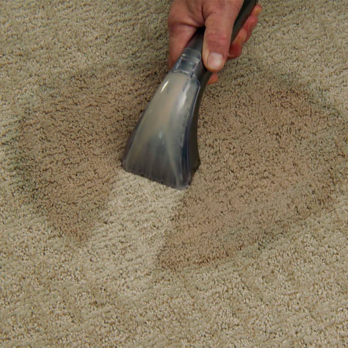 Livington StainEx Portables - Nass-Reinigungssystem - Polsterreiniger - Teppichreiniger mit Dualkammer - Nassauger - Waschsauger