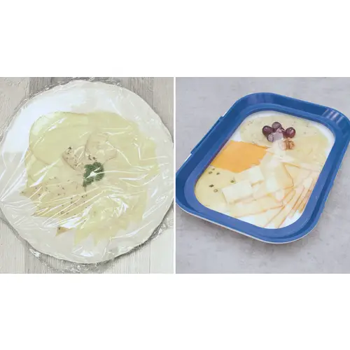 Livington Flex & Fresh Frischhalteplatten 2er-Set - Aufbewahrung Wurst & Käse – Vorratsdosen - spülmaschinengeeignet – luftdicht & stapelbar - A Livington Flex & Fresh Frischhalteplatten 2er-Set - Aufbewahrung Wurst & Käse – Vorratsdosen - spülmaschinengeeignet – luftdicht & stapelbar - A