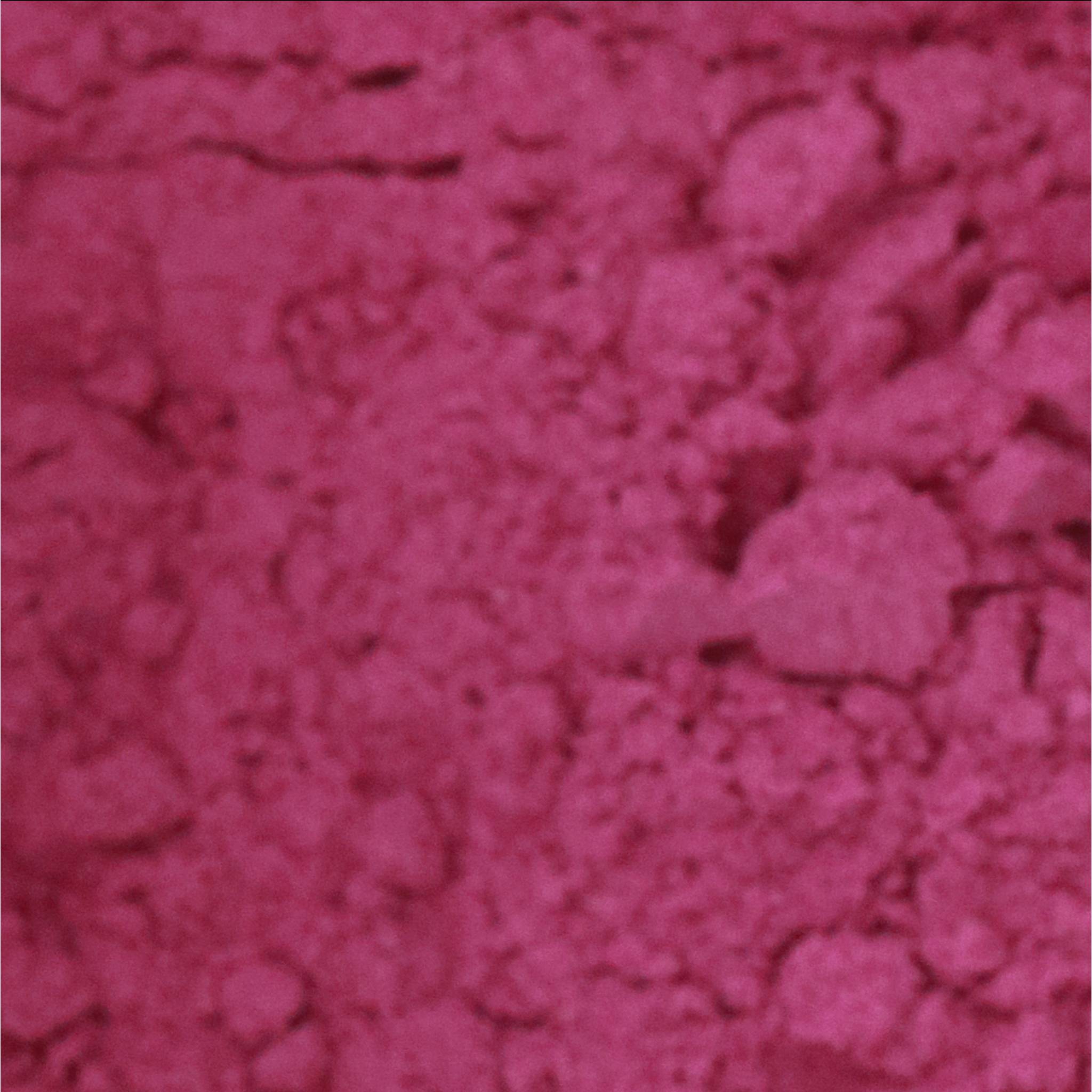 Blockx Pigment Quinacridon blassrosa 100ml / 30g 51078BXC