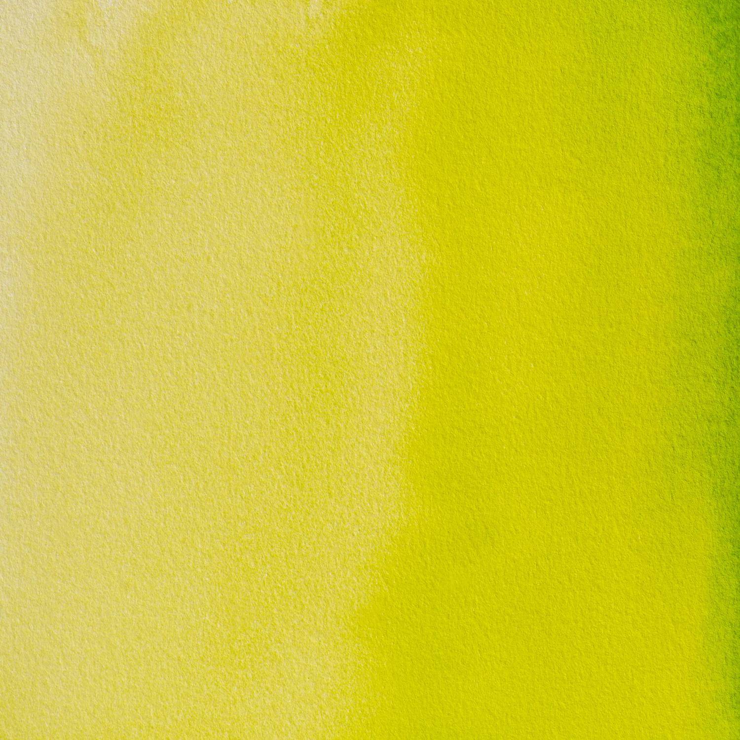 Blockx Aquarellfarbe, Goldgrün - Großer Napf 18ml - Grüngold 45363BXC