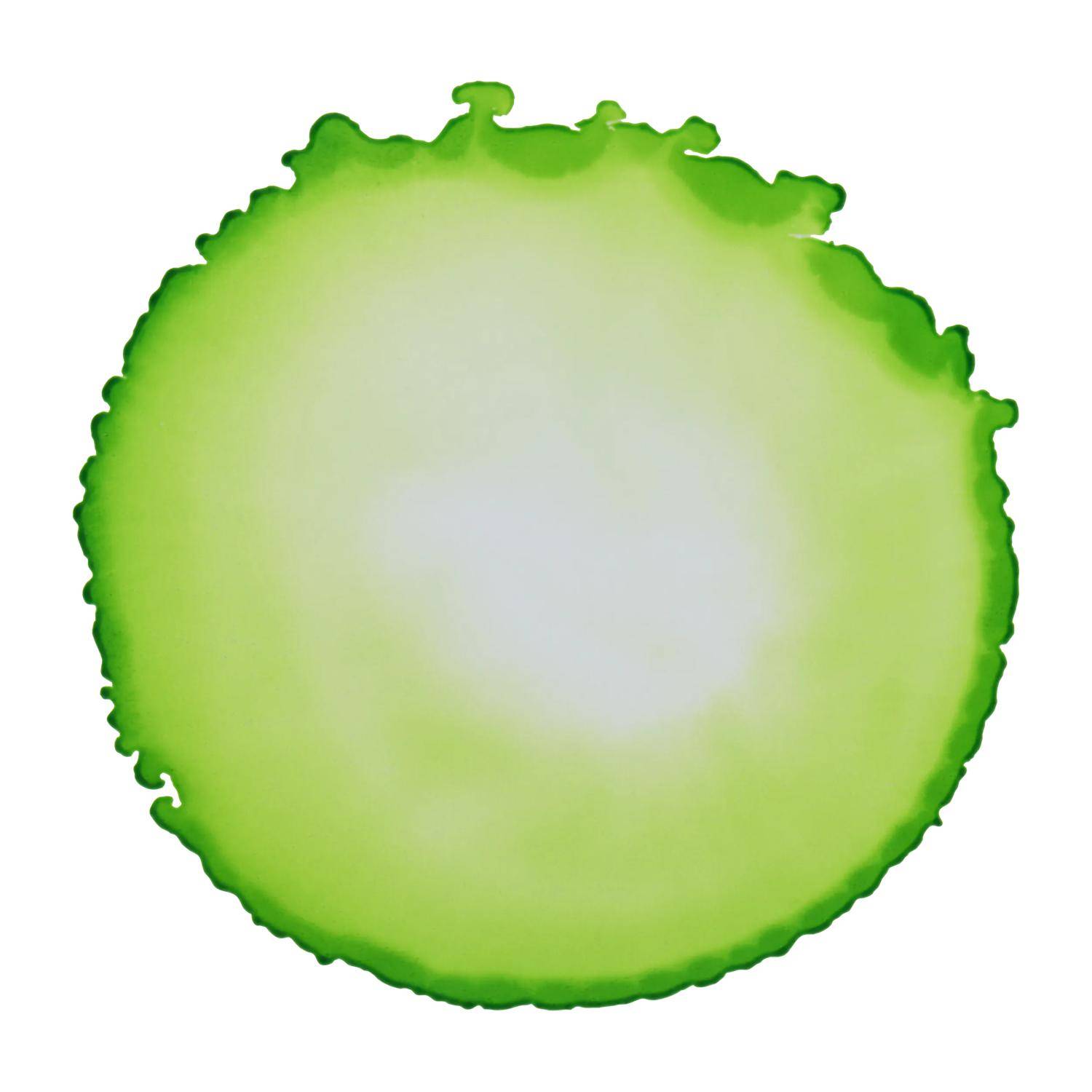 Cernit 6x Alkoholtinte 20ml, Anisgrün - Zitrusgrün CE2000020601C