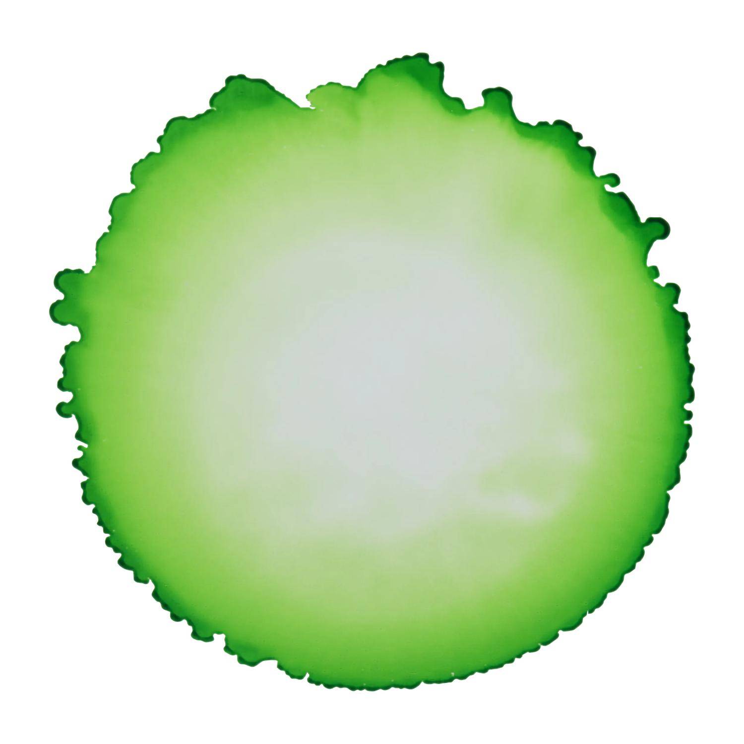 Cernit 6x Alkoholtinte 20ml, Grasgrün - Wiesengrün| CE2000020617C