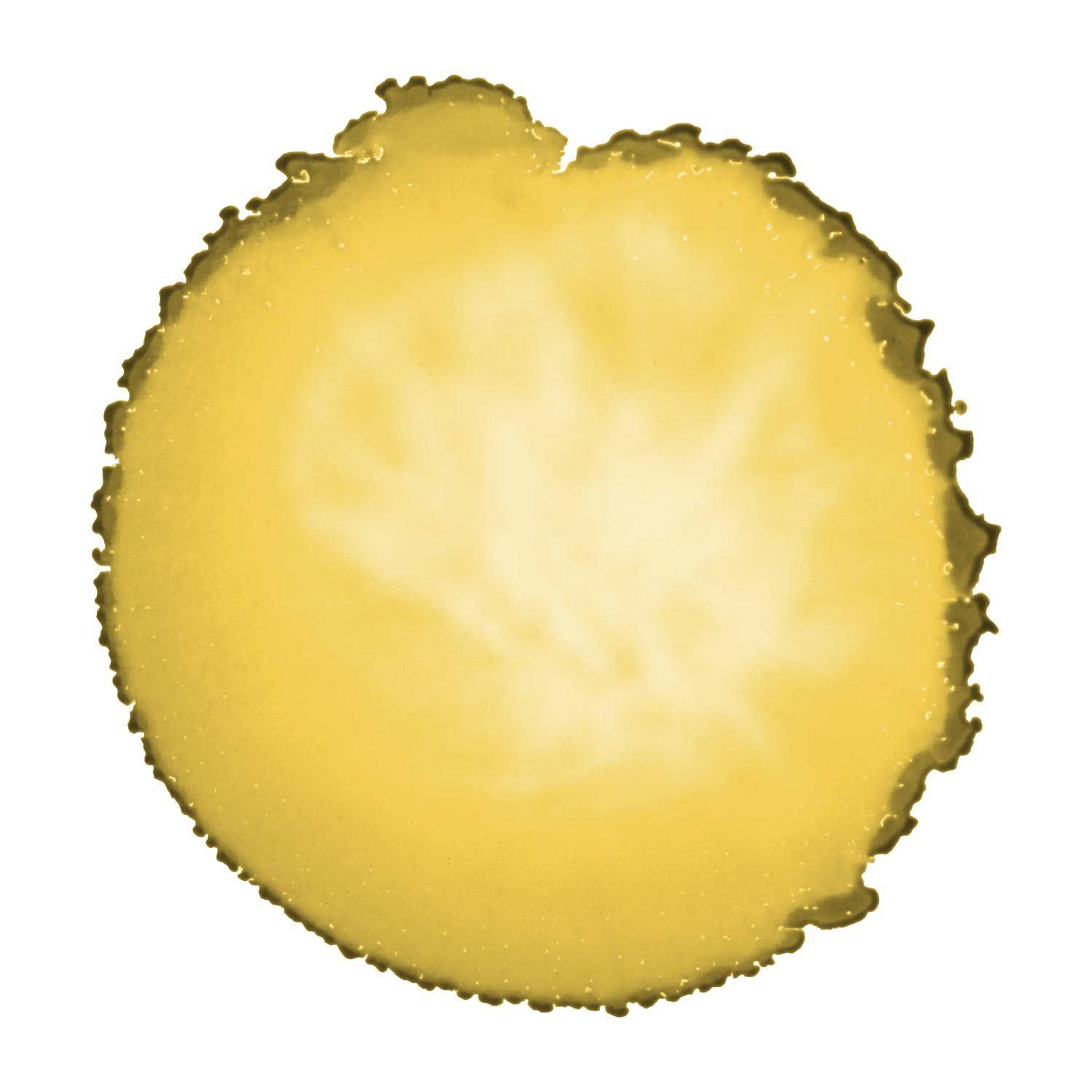 Cernit 6x Alkoholtinte 20ml, Aprikose - Aprikose CE2000020755C