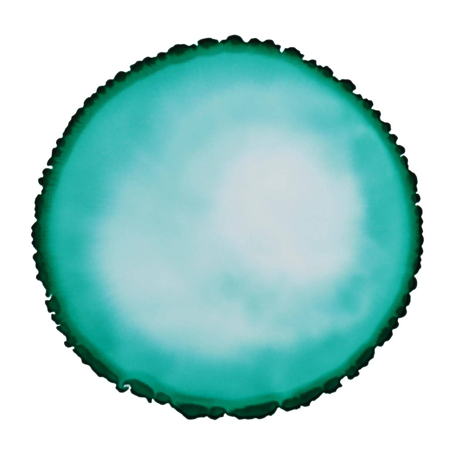 Cernit 6x Alkoholtinte 20ml, Smaragdgrün - Smaragdgrün CE2000020620C