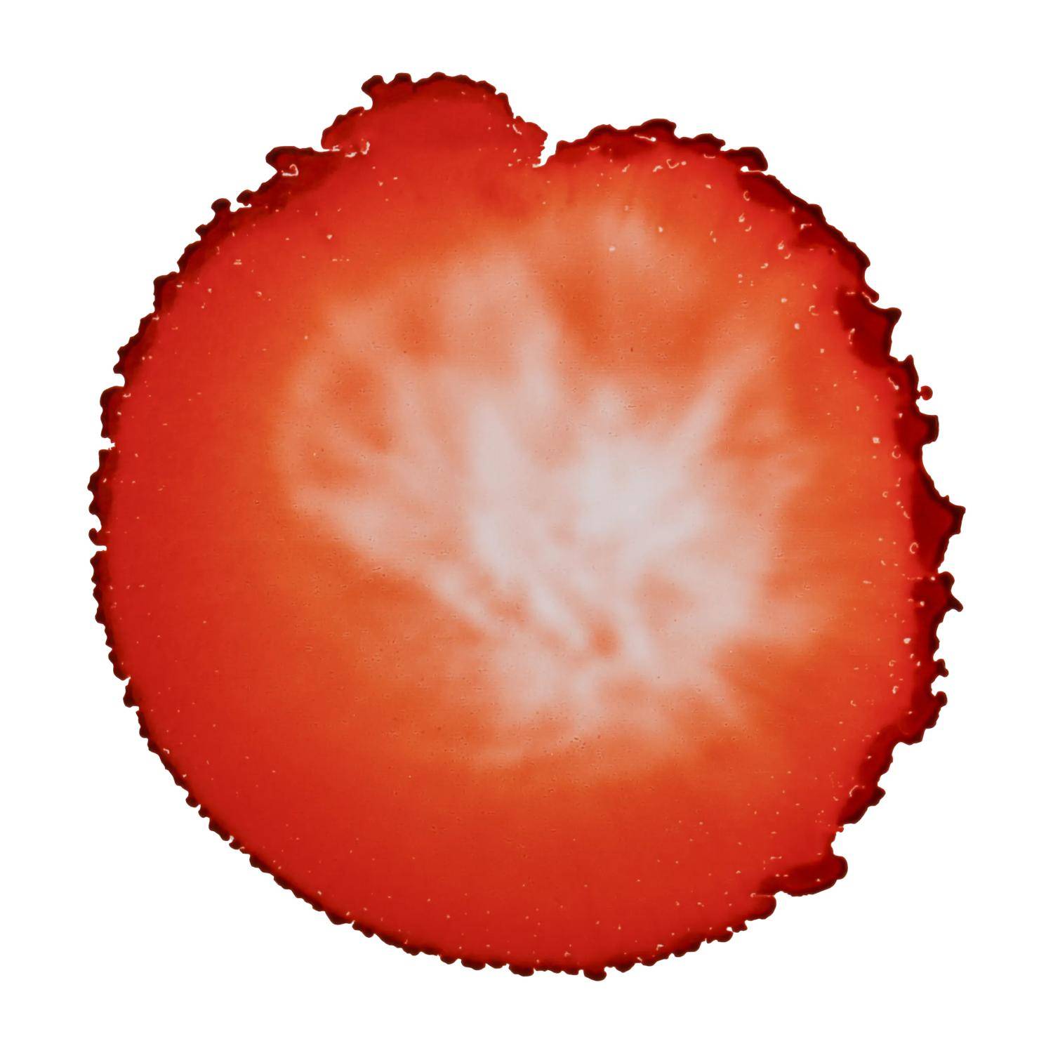 Cernit 6x Alkoholtinte 20ml, Rost - Rostfarben CE2000020775C