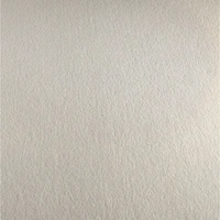 G.Lalo 5x Lalo, Packung 20 Bl Papier DIN A4, 125g, Vélin pur Coton Creme 48700L G.Lalo 5x Lalo, Packung 20 Bl Papier DIN A4, 125g, Vélin pur Coton Creme 48700L