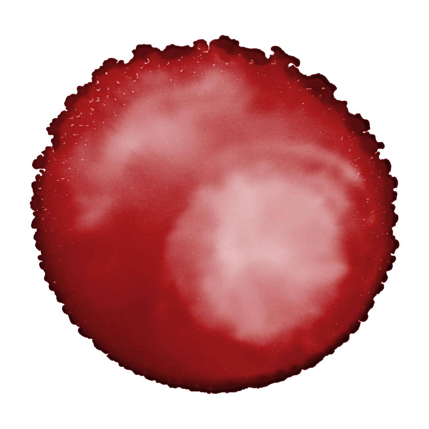 Cernit 6x Alkoholtinte 20ml, Lippenrot - Lippenrot CE2000020406C