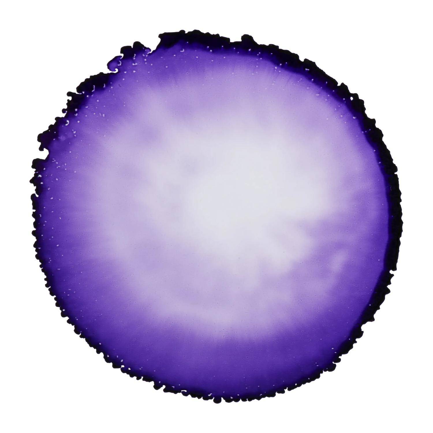 Cernit 6x Alkoholtinte 20ml, Violett - Violett CE2000020900C