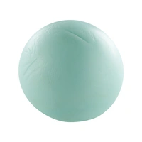 Cernit 6x Opaline 56g, Minzgrün - Minze CE0880056640C Cernit 6x Opaline 56g, Minzgrün - Minze CE0880056640C