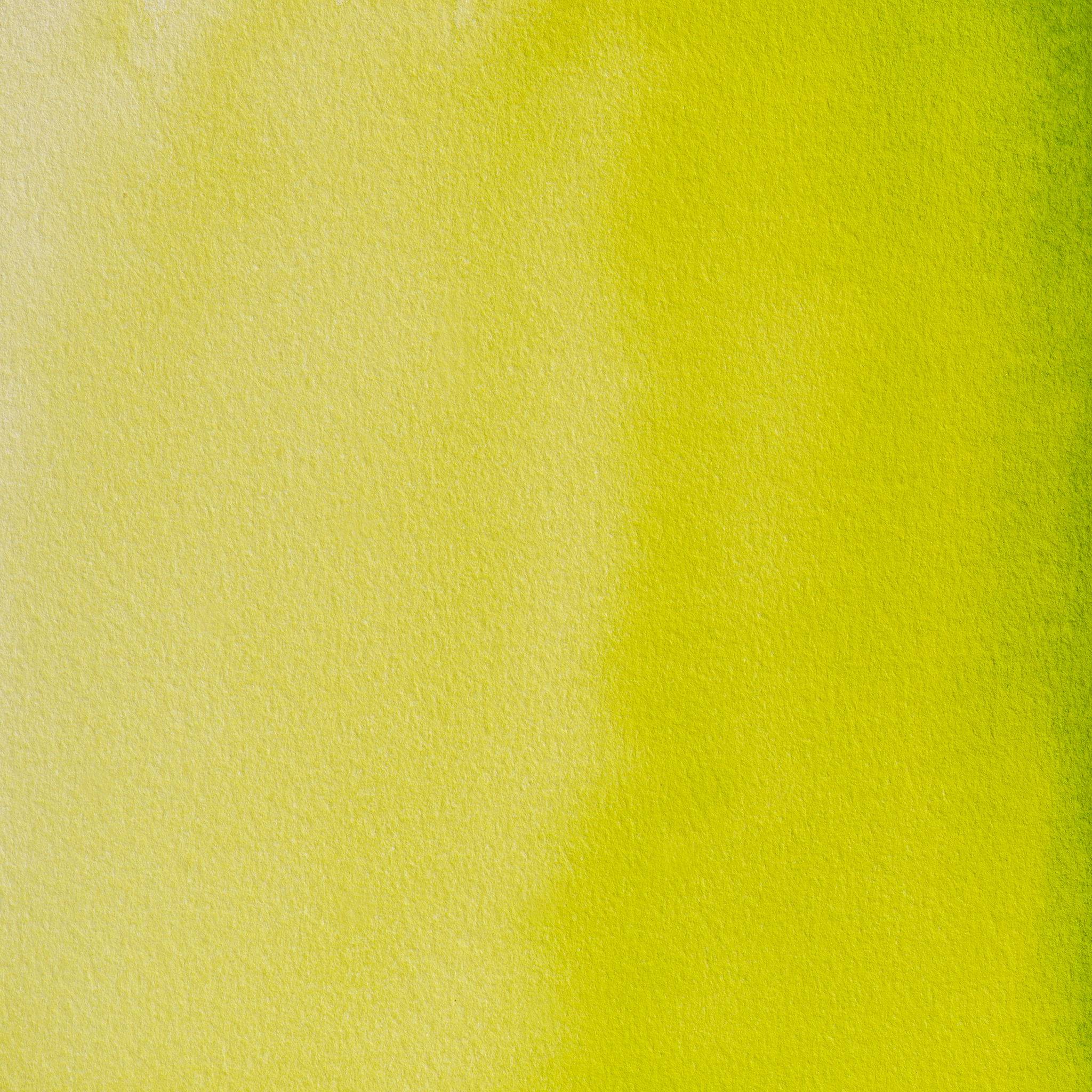 Blockx 3x Aquarellfarbe, Goldgrün - 1/2 Näpfchen 1,5ml - Grüngold 41363BXC