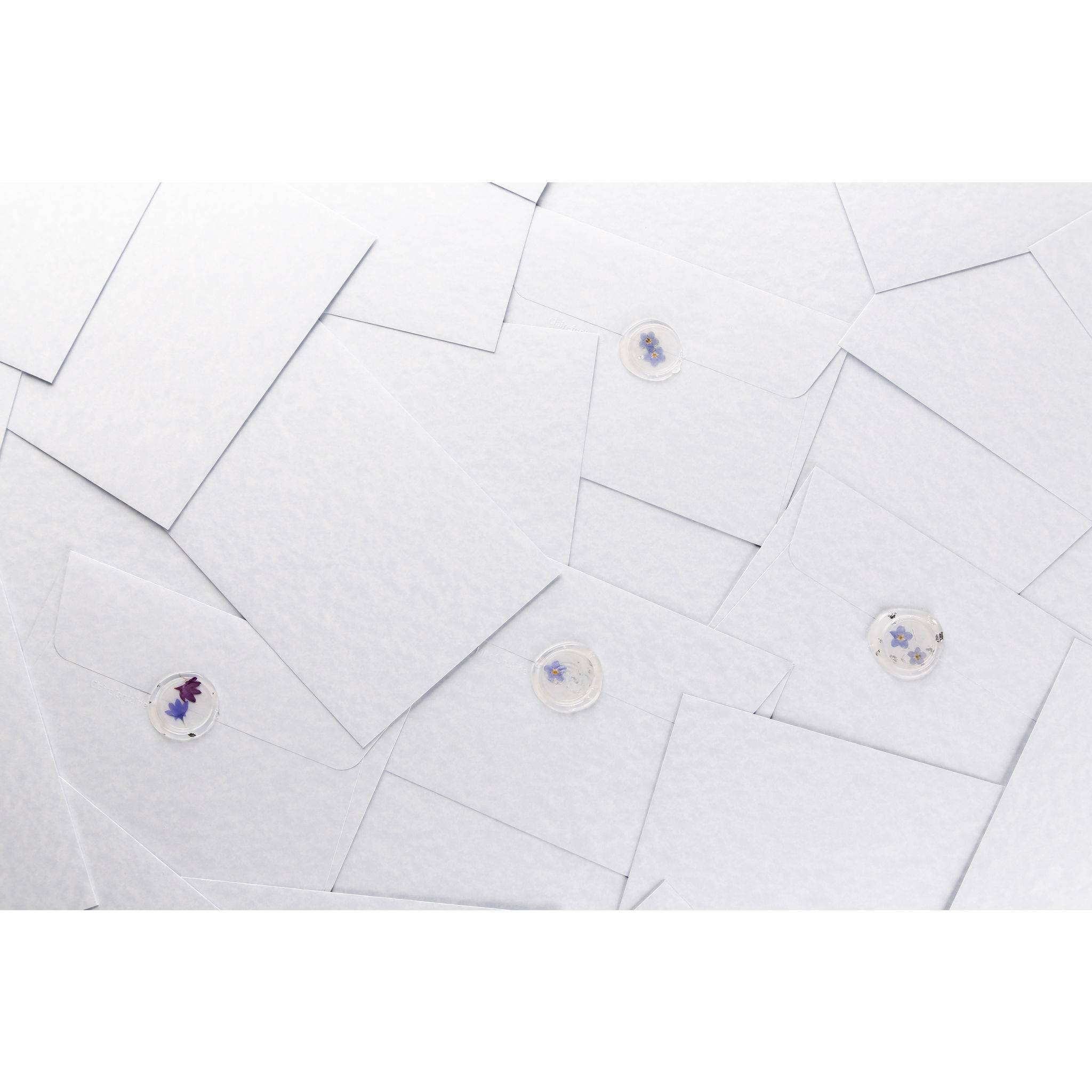 Jacques Herbin 3x Trockenblumen, Kornblumenblätter, Pkg 24 Stück Violett 41319T