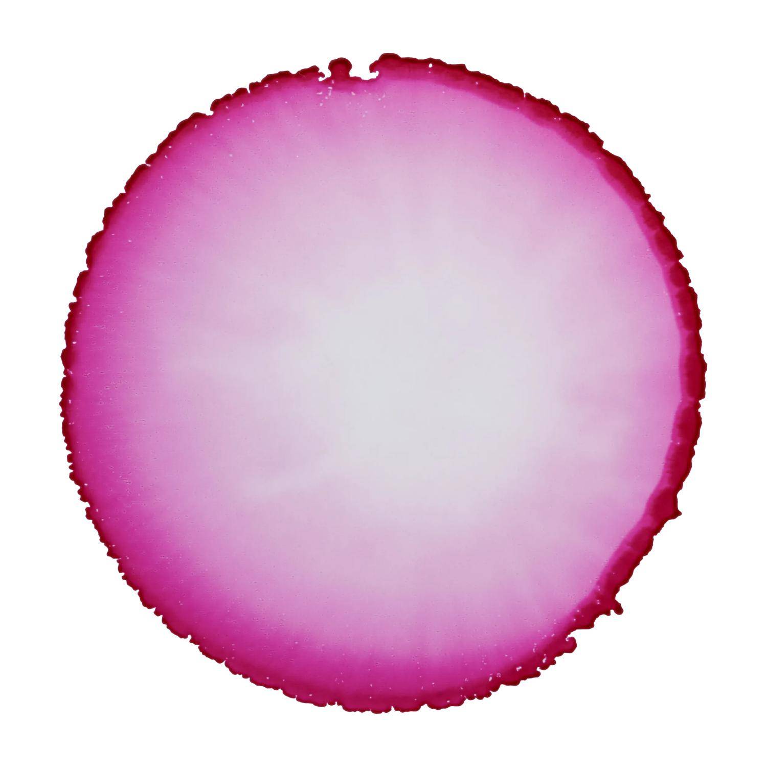 Cernit 6x Alkoholtinte 20ml, Magenta - Magenta| CE2000020460C