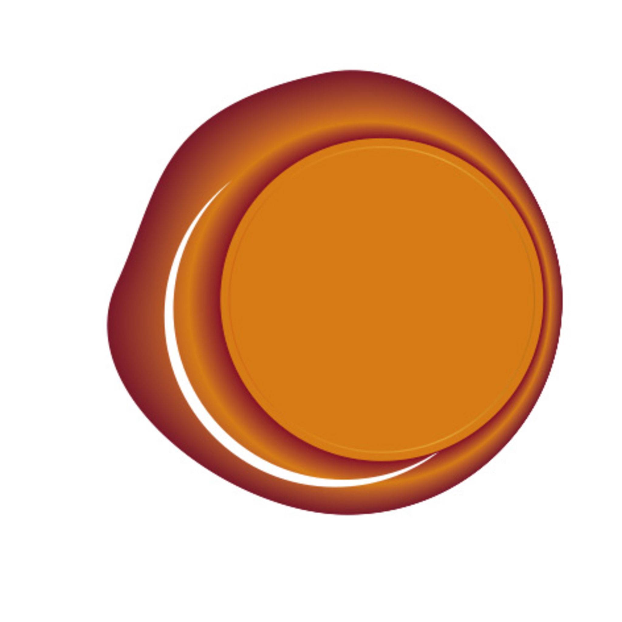 Jacques Herbin 5x Packung mit 6 Stangen speziellem Reinigungswachs Orange 35856T