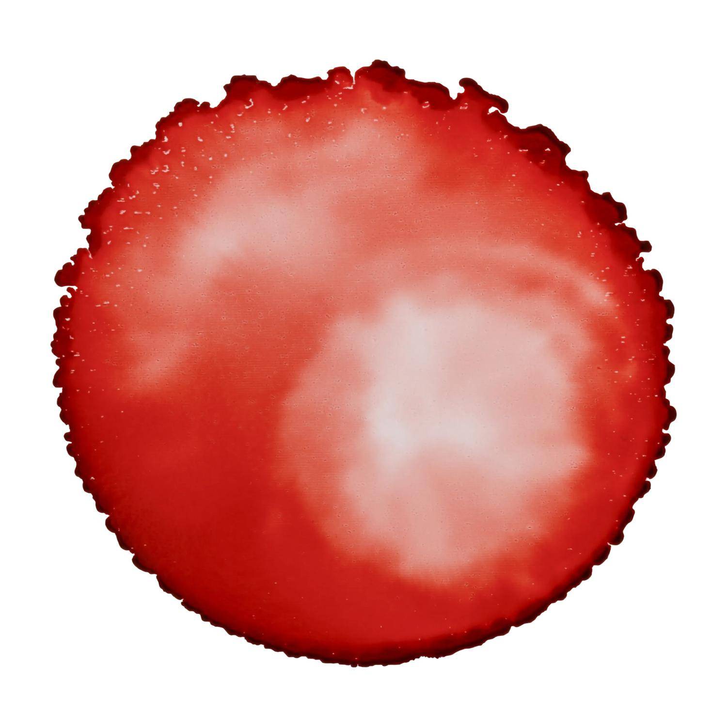 Cernit 6x Alkoholtinte 20ml, Feuerrot - Feuerrot CE2000020495C