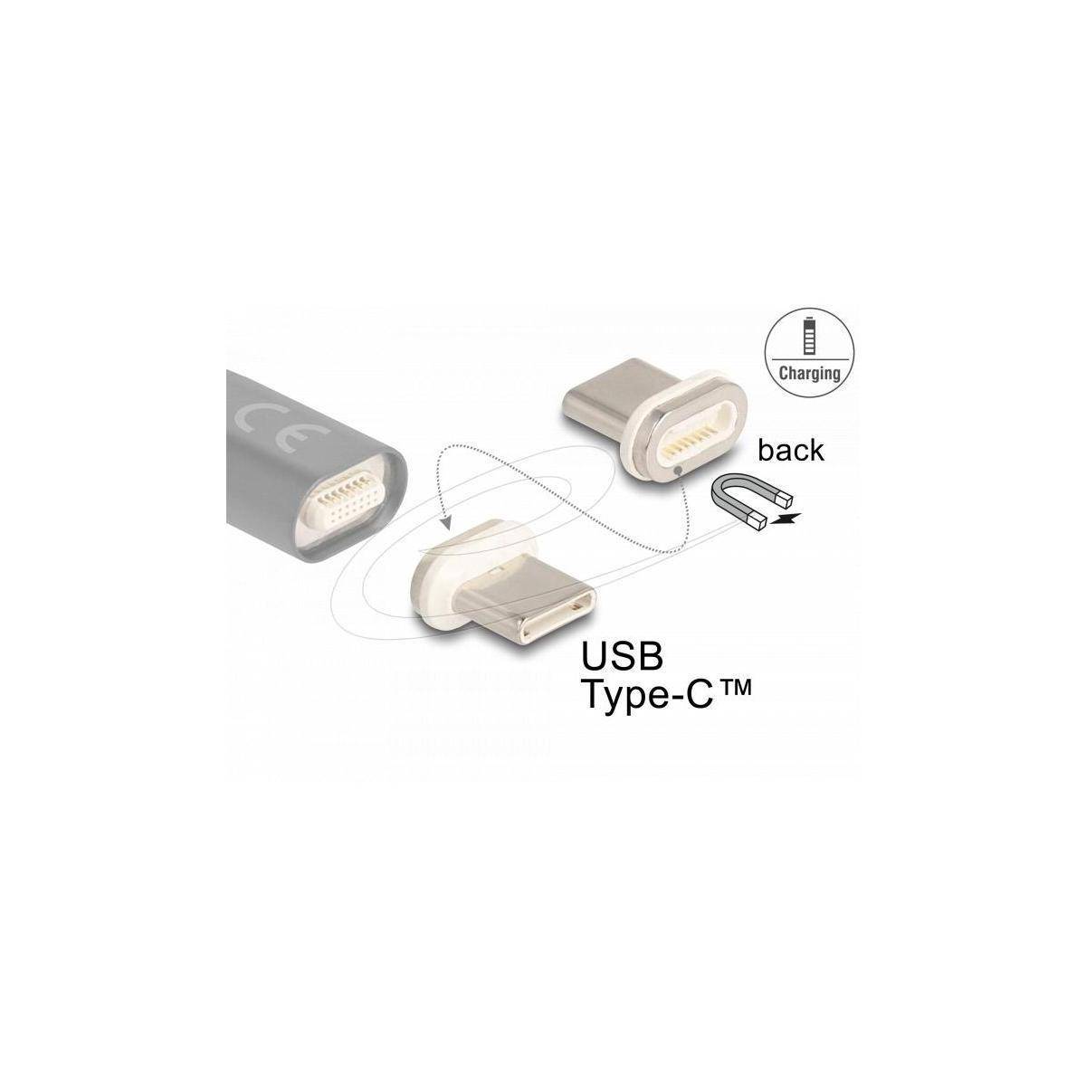 Delock Magnetischer Adapter USB Type-C Stecker