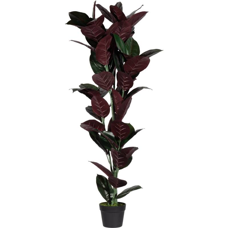 PAPERFLOW Kunstpflanze "Gummibaum", Höhe: 1.200 mm