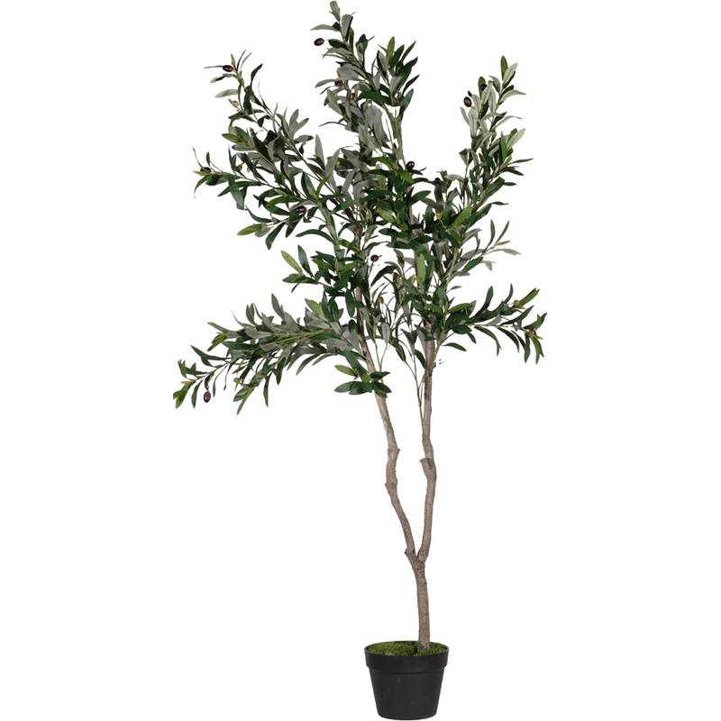 PAPERFLOW Kunstpflanze "Olivenbaum", Höhe: 1.550 mm