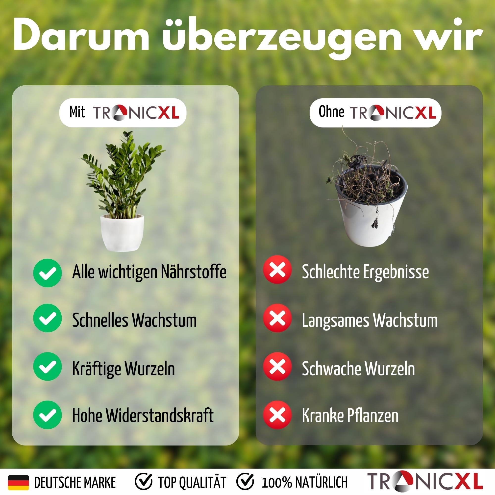 5L Zimmerpflanzendünger MADE IN GERMANY Universal Grünpflanzen Dünger flüssig 5000ml Flüssigdünger 5x 1 Liter Zimmerpflanzen dünger Grünpflanz