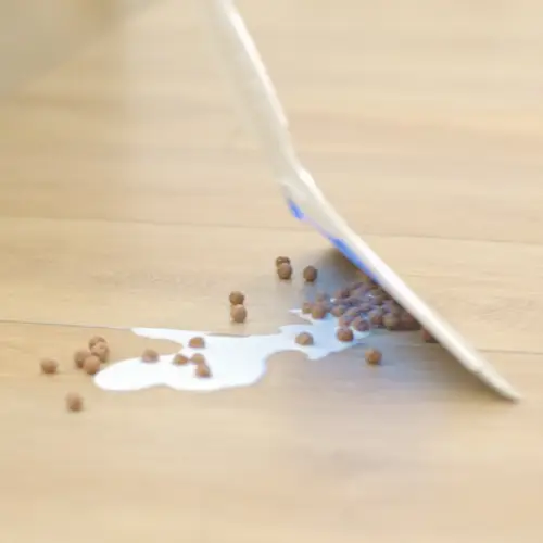 Livington AirBroom - Innovativer 2-in-1 Reinigungsbesen - Nass- und Trockenreinigung - inkl. Teleskopstange & Mini-Kehrschaufel - Kehrbesen Livington AirBroom - Innovativer 2-in-1 Reinigungsbesen - Nass- und Trockenreinigung - inkl. Teleskopstange & Mini-Kehrschaufel - Kehrbesen