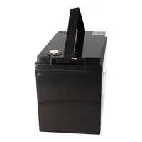 Offgridtec LifePo4 Akku 12/100 12,8V 100Ah mit BMS und Heizmatte 1280Wh Offgridtec LifePo4 Akku 12/100 12,8V 100Ah mit BMS und Heizmatte 1280Wh