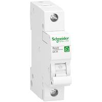 Schneider Electric R9F23132 Stromunterbrecher Typ B 1 Install.Baumaterial ZÃ¤hlerschr./Verteilg