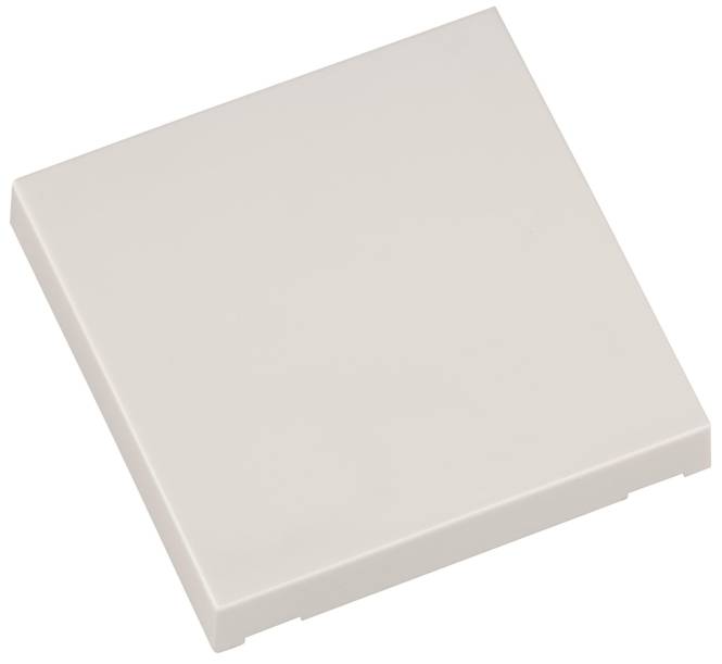 ELDAT Taste Ein/Aus ws RTS22-ACC-02-02P f.Wandtaster RTS22 Format 55 Install.Baumaterial KNX