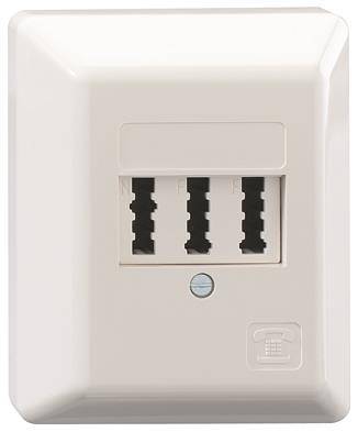 RB Anschlussdose TAE2x6/6NFF/AP/RW reinweiss 103 101 14 Install.Baumaterial Netzw.Telekomm