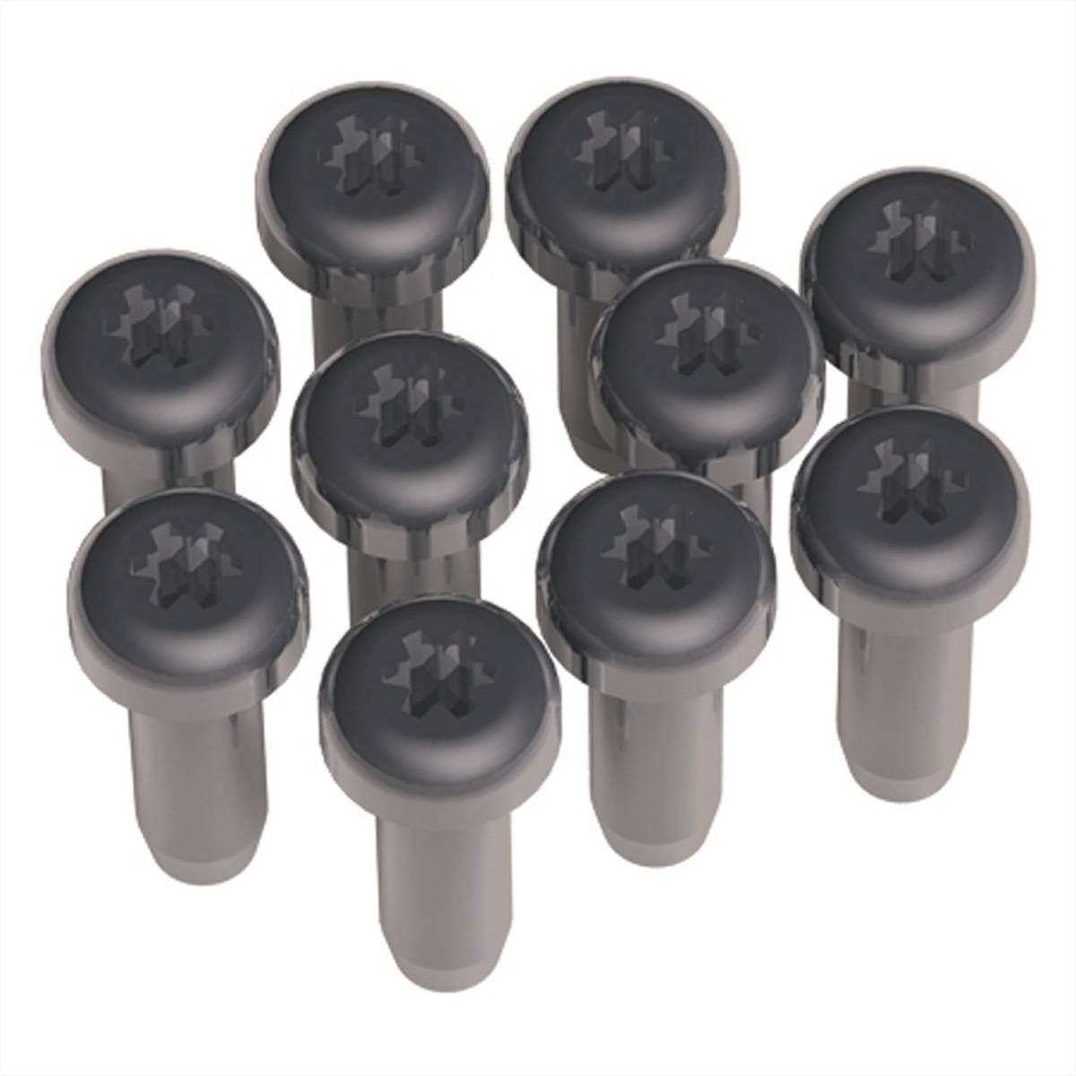 BACHMANN Torx T6 Schrauben für Custom Module, 10 Stk. Steckdosenleisten Zubehör DESK 1