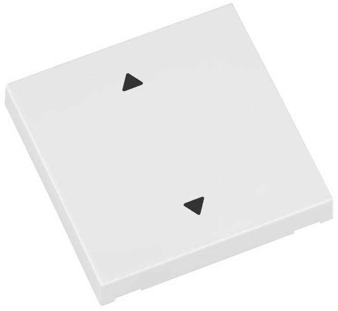 ELDAT Taste Auf/Zu ws RTS22-ACC-03-02P f.Wandtaster RTS22 Install.Baumaterial Schaltermat/Geb.Steu