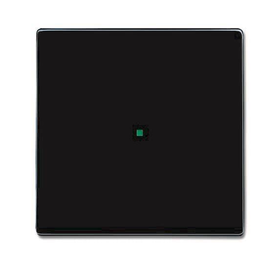 BJ Wippe 1-fach 6230-10-81 Busch-free@home anthrazit Install.Baumaterial Schaltermat/Geb.Steu KNX