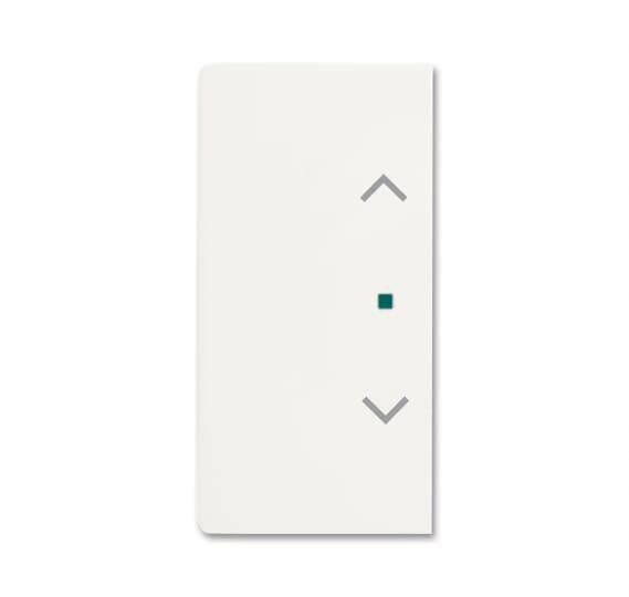 BJ Wippe 2f Jalousie matt 6232-20-884 sws Busch-free@home future linear Install.Baumaterial KNX