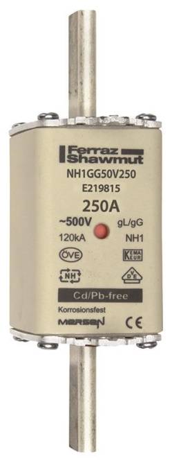 Nahaufnahme einer Ferraz Shawmut-Elektrosicherung mit der Bezeichnung „NH1GG50V250