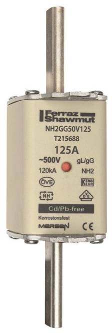 Ein zylindrisches Schmelzelement mit der Bezeichnung „Ferraz Shawmut NH2GG50V125 125A