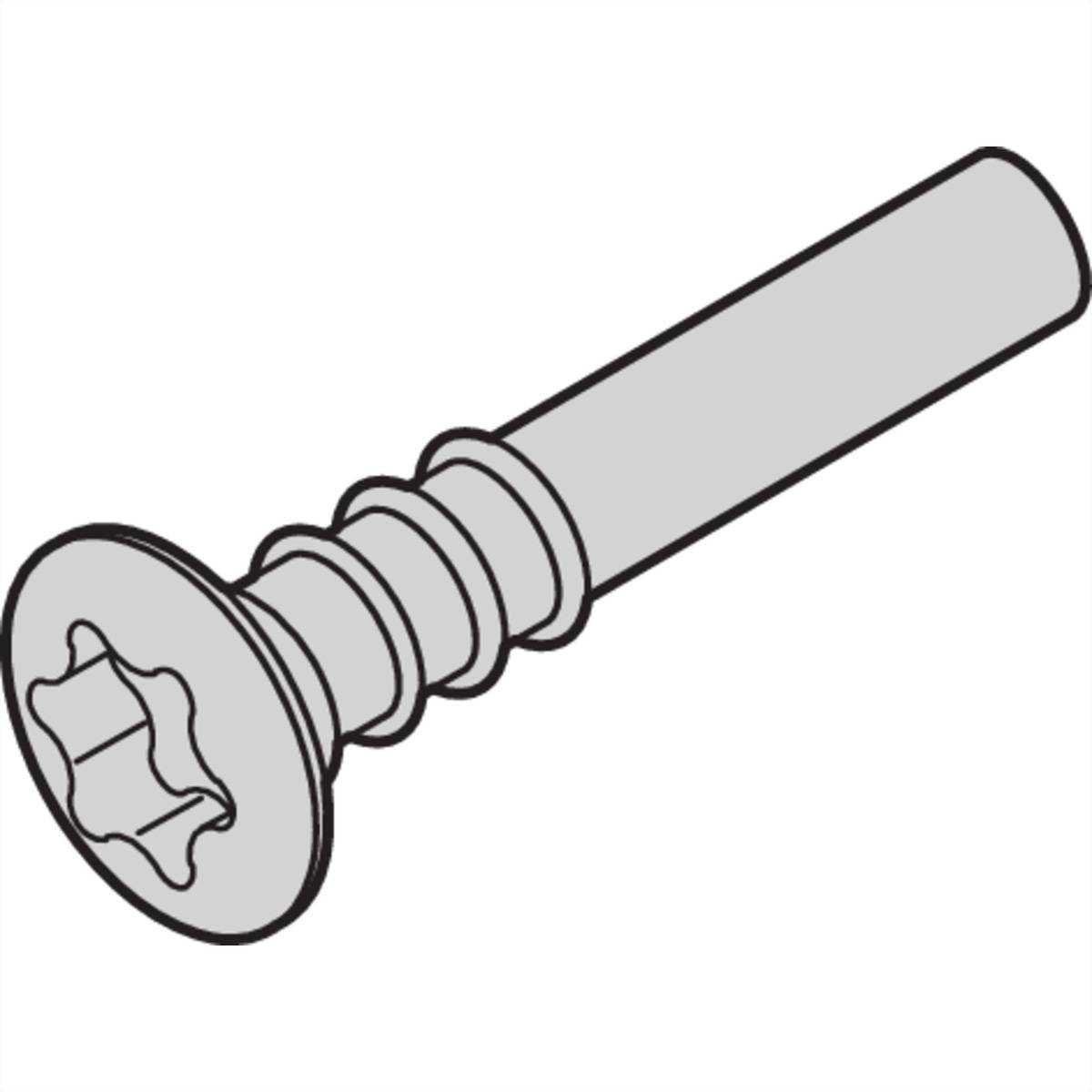SCHROFF -Linsenkopfschraube - LISESHR TORX3.0X20 100ST 19 Schränke &amp, Ausbauteile