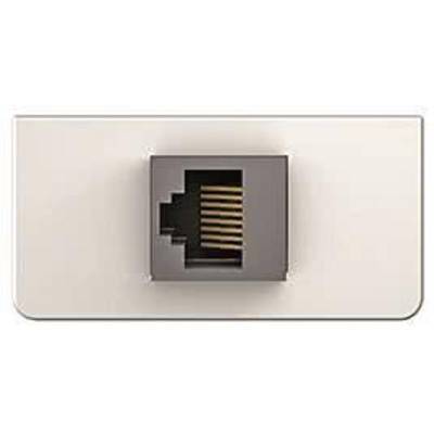 KIND Konnect design - Cat5 7454000523 RJ45 Blende 1/2 mit Gender Changer ws Install.Baumaterial