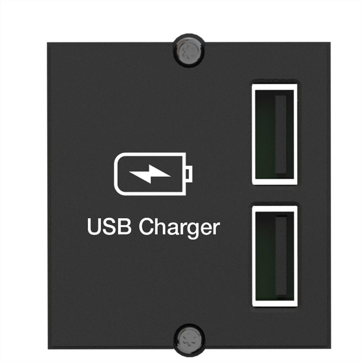 BACHMANN Custom Modul USB Doppel-Charger Steckdosenleisten Module