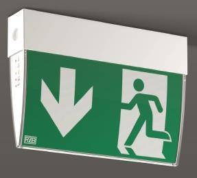 RZB LED-Notleuchte EXEO-D 4W 672400.002 3h 24m IP54 SKII Wand/Deckenmontage Techn.Licht/Wohnraum