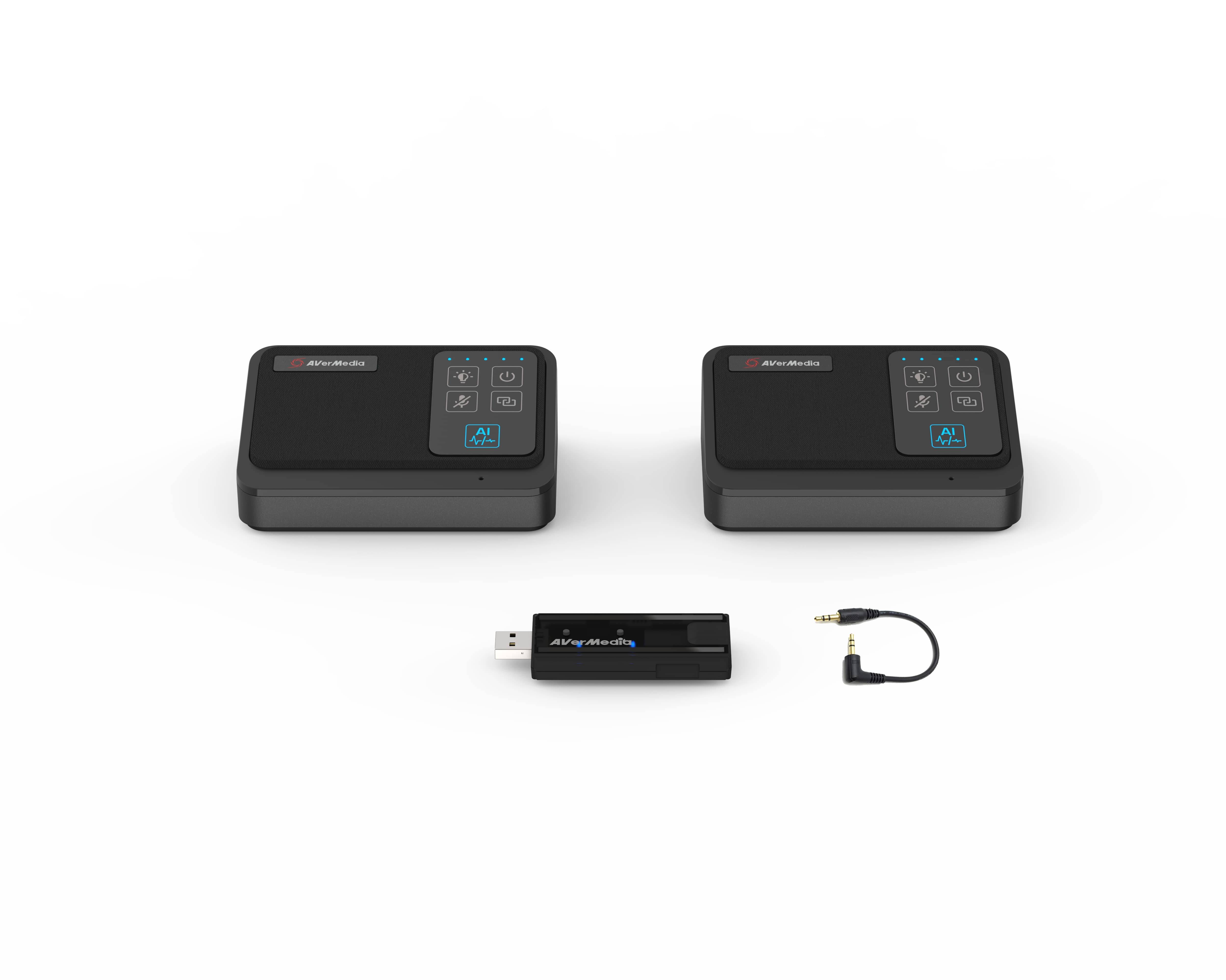 AVerMedia Funkmikrofon-Set für PA511D (AW111) Multimedia-Technik Zubehör