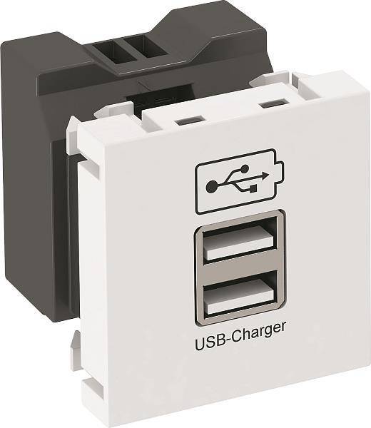 OBO MTG-2UC2.1 RW1 USB Ladegerät m.2.1 A Ladestrom 45x45mm PC rws 6105300 Install.Baumaterial