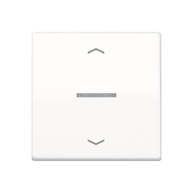 Jung JUNG HOME Taster 1fach BTA17101PWW m.Pfeilsymbolen Install.Baumaterial Schaltermat/Geb.Steu KNX