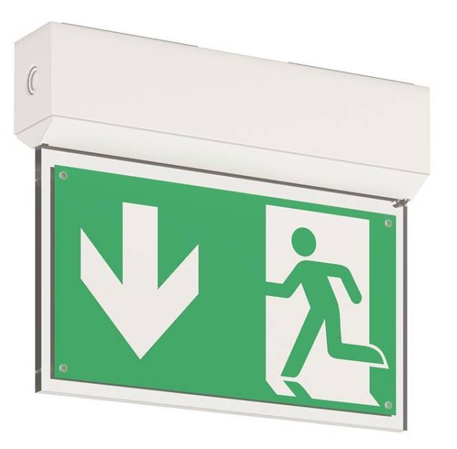 RZB LED-Notleuchte EXEO-S 4W 672420.002 3h 24m IP54 SKII Wand/Deckenmontage Techn.Licht/Wohnraum