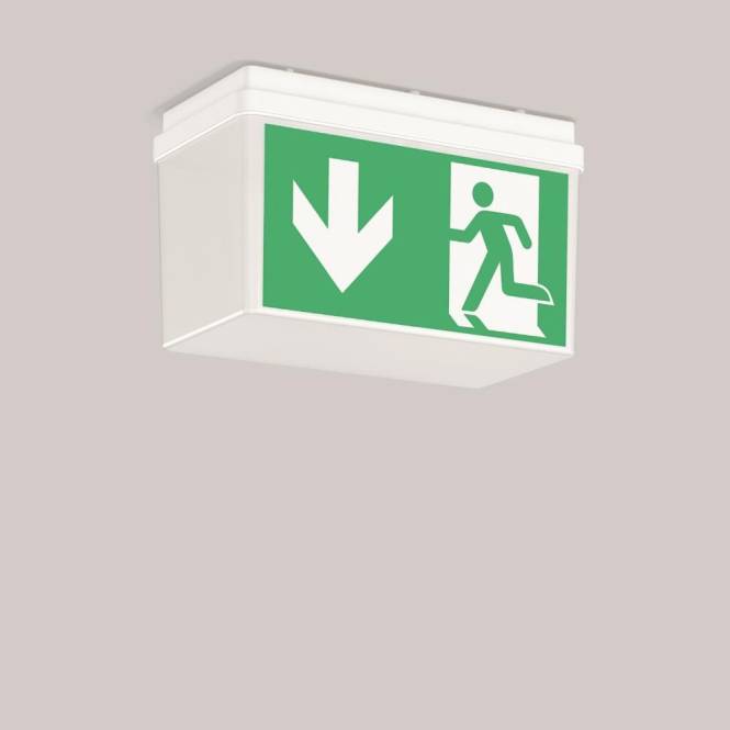 RZB Notleuchte GSUN 3 IP54 652520.002 3h EKW 21m NFC Wand/Decken hohe Haube Techn.Licht/Wohnraum