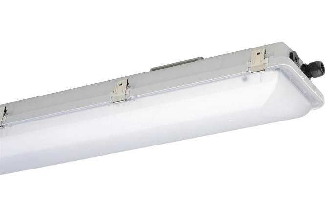 SCHUCH Ex-Wannenleuchte IP66 e865F 12L60 Zone 1/21/2/22 40W 6020lm 65K 1250mm sat Innenleuchten