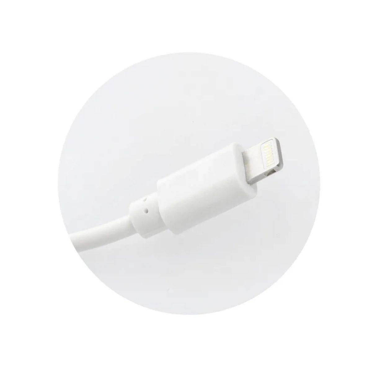 USB A Wandladegerät + USB A auf iPhone Kabel 1A 5W in Weiß