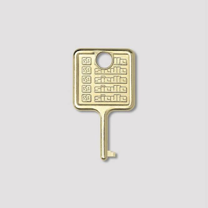 Siedle Schlüssel IM 511-0 f.Informations-Modul Edelstahl gebürstet Install.Baumaterial