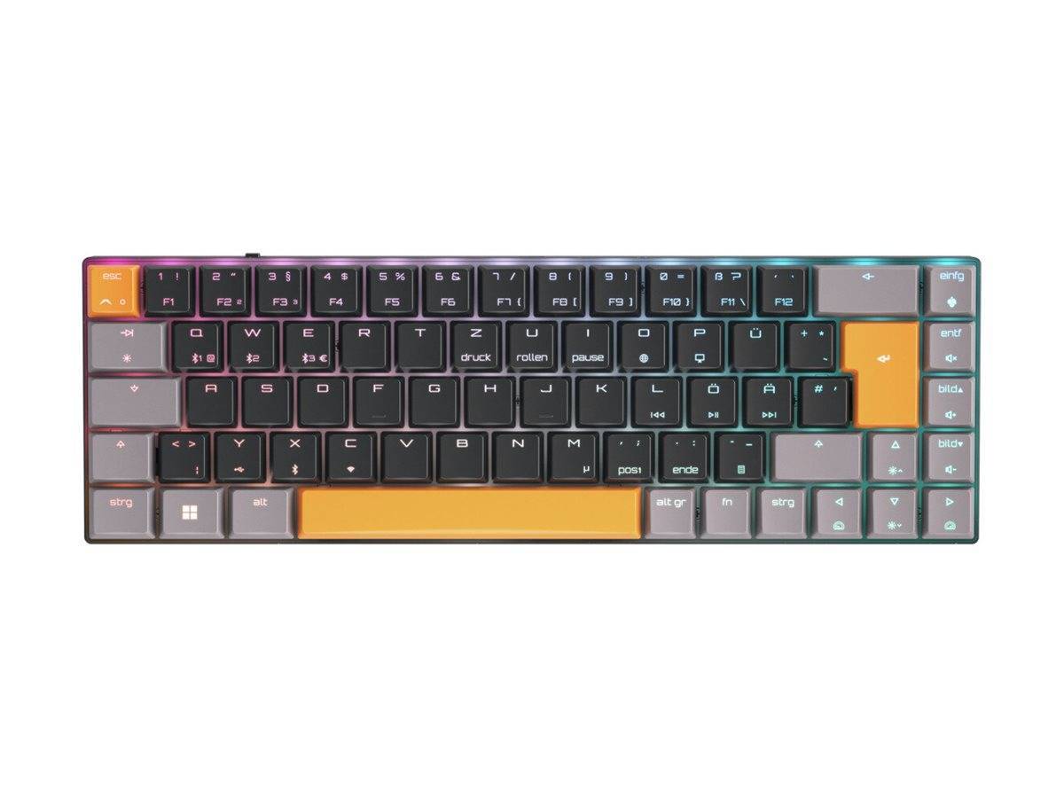 CHERRY TAS MX-LP 2.1 Compact Wireless DE-Layout schwarz Multimedia-Technik Gaming Tastatur wireless